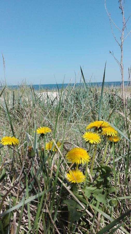 Privatviesnica Zvaigzne Hotel Jurmala Ngoại thất bức ảnh